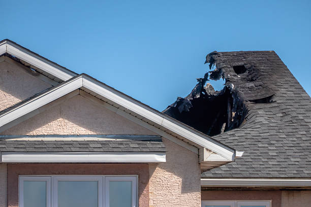 Top rated local Odor Removal specialists in Germantown, OH